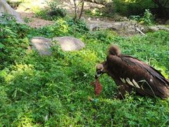 -宁波野生动物园