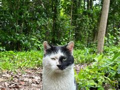 -上海佘山国家森林公园天马山园