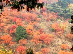 -香山公园