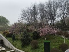 -西安汉城湖景区