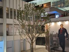 -深圳湾万象城(南山店)