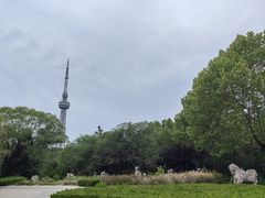 -诸城市恐龙博物馆