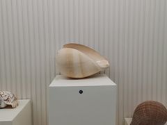 -青岛贝壳博物馆