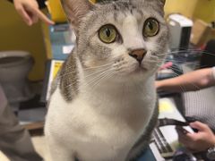 -谜盒子奇幻密室(南屏店)