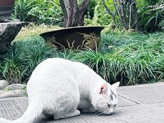 -成都杜甫草堂博物馆