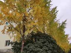 -上海汾阳花园酒店
