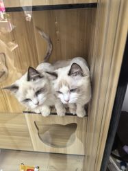 -一个美甲店