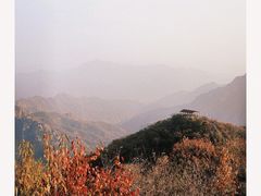 -大岭沟猕猴桃谷风景区