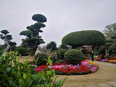 -南宁南湖公园