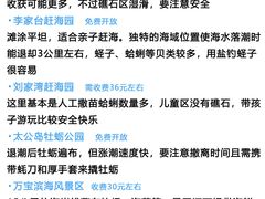 -日照灯塔风景区