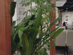 -沸腾鱼乡(知春路分店)