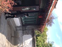 -王家大院