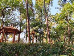 -东湖落雁景区