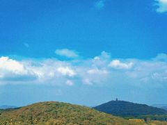 -宝界山林公园