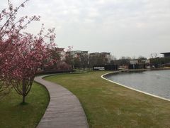 -水月周庄铂尔曼酒店-水月荟中餐厅