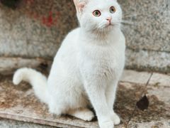 -山城巷传统风貌区