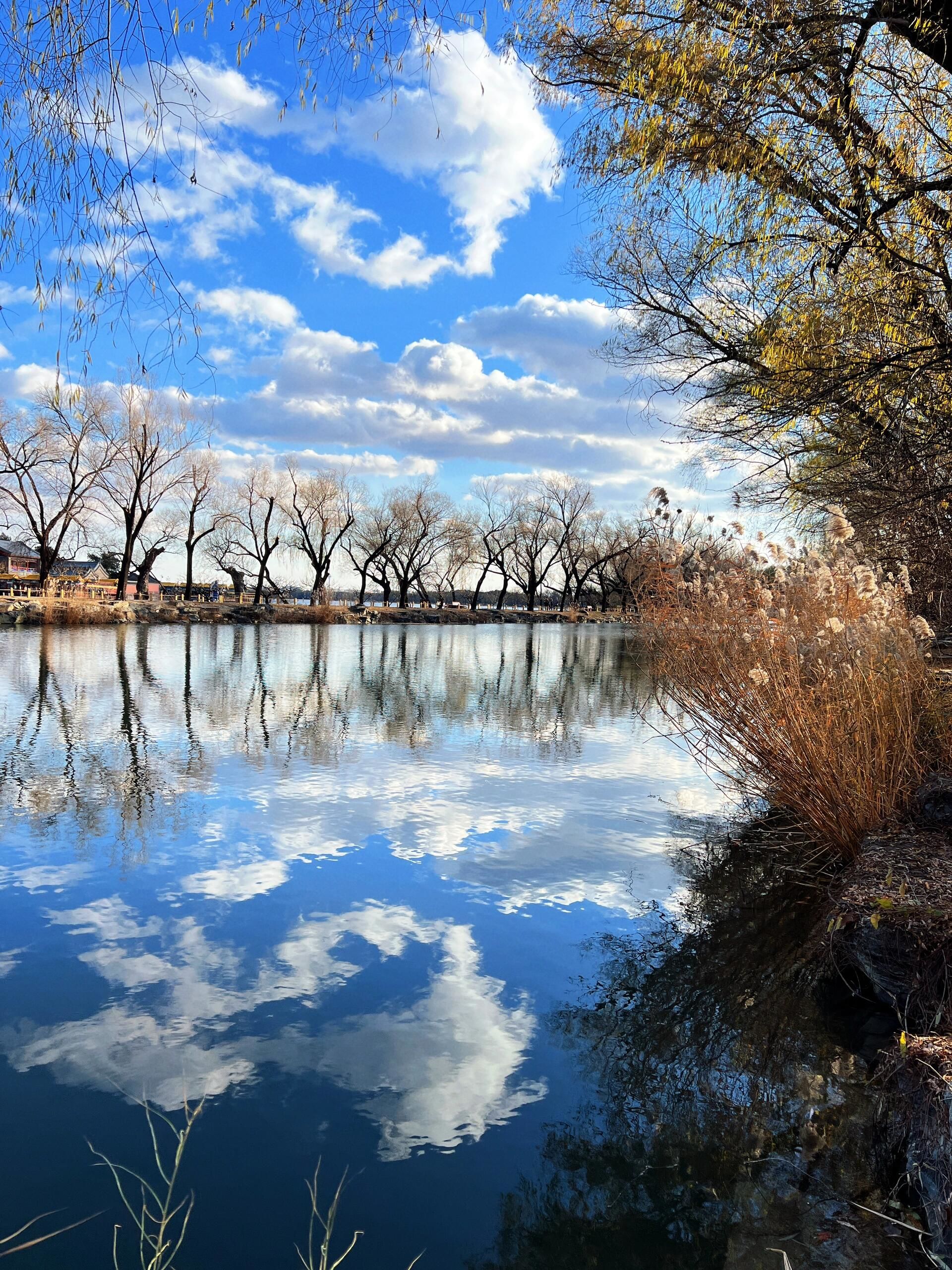 颐和园西堤在初冬的蓝天白云下非常美丽