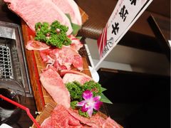 -俺的焼肉(銀座9丁目店)