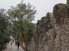 -原山国家森林公园