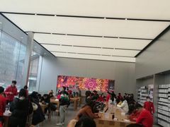-Apple零售店(成都太古里店)