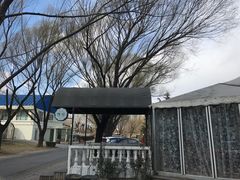-银树楼(紫玉山庄东区店)
