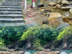 -广州白江湖森林公园