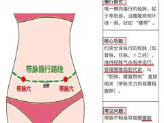-升艾堂·经络·艾灸·气血(成山路店)
