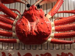 -蟹道乐(道顿堀本店)