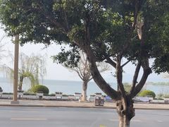 -野菌皇海景野生菌火锅(滨海大道店)