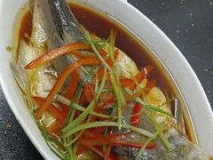 -大班家政月嫂育儿嫂(广州NO.1店)