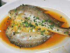 -美豪怡致酒店(上海长寿路店)