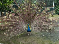 -哈尔滨北方森林动物园