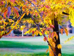 -河南省黄河迎宾馆