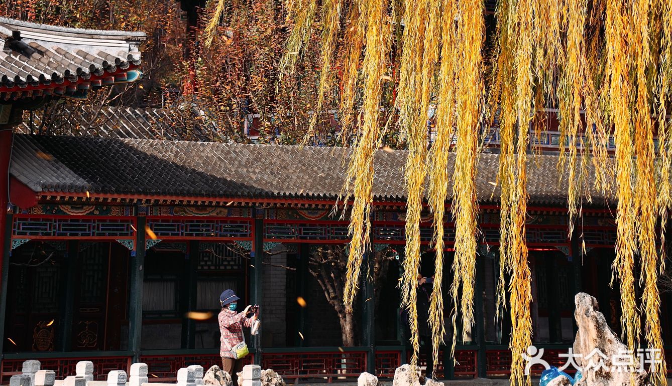 初冬的颐和园，由后山石阶而上，少有游客，唯闻雀儿鸣叫