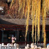 初冬的颐和园，由后山石阶而上，少有游客，唯闻雀儿鸣叫