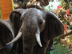 -济州岛泰迪熊博物馆