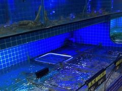 水产区-江南村海鲜馆(洞头店)
