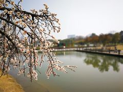 -白塘生态植物园