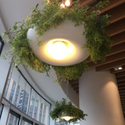 -悦诗风吟innisfree