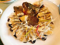 -博雅渔港·融合菜(维也纳国际大酒店)