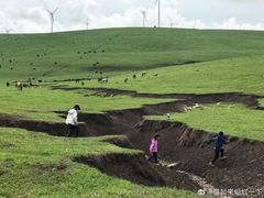 -塞罕坝国家级自然保护区