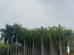 -深圳国际园林花卉博览园