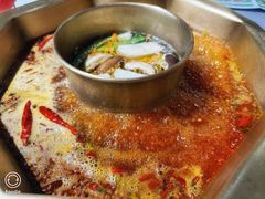 -蜀九香火锅(玉林店)