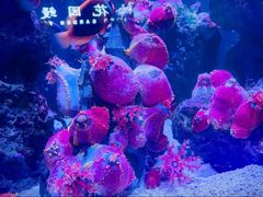 -成都浩海立方海洋公园