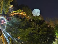 -巴倒烫陆派火锅山庄(南山总店)