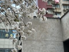 -玛格萝妮比萨屋(四平店)