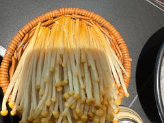 -季季山·云南野生菌火锅(上海首店)