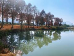 -三垟湿地