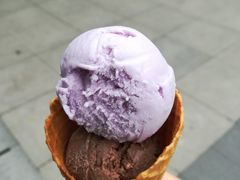 -成裕雪糕店(士多店)