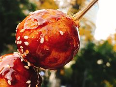 糖油果子-邓记新一代糖油果子(四川煤管局供销公司职工宿舍店)